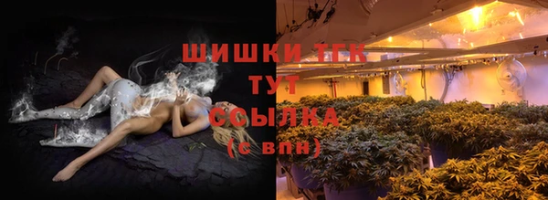 гидра Белоозёрский