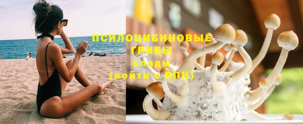 гидра Белоозёрский