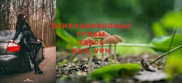 гидра Белоозёрский