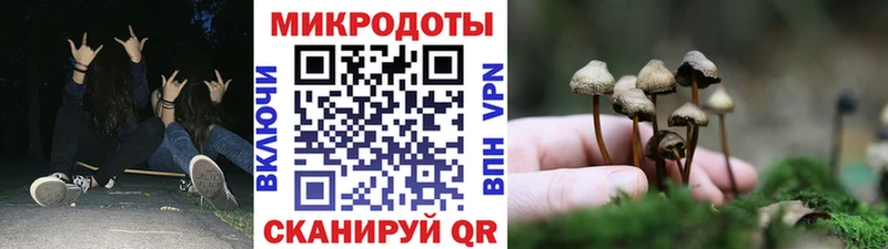 Галлюциногенные грибы Magic Shrooms  Волчанск 